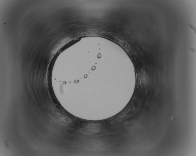 X0000092330292200710121539