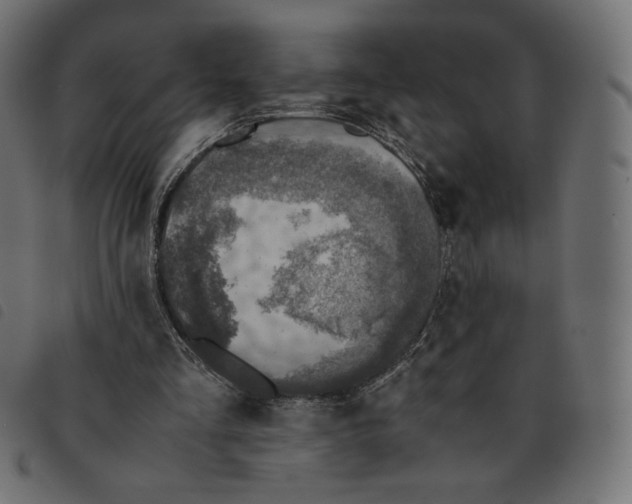 X0000092330293200710121539