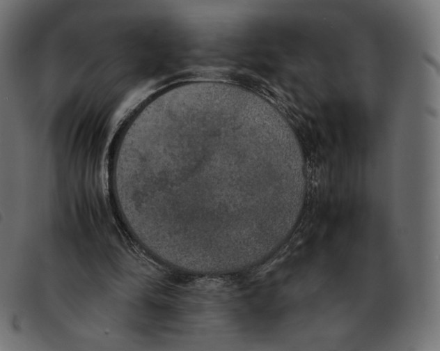 X0000092330294200710121539