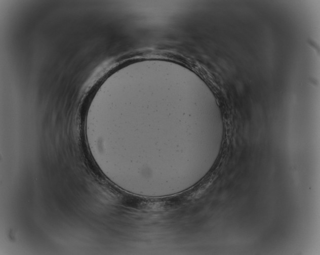 X0000092330295200710121539