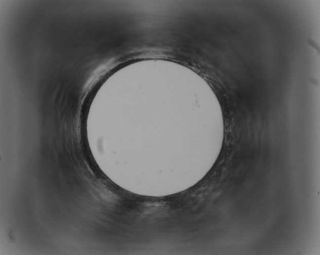 X0000092330296200710121539
