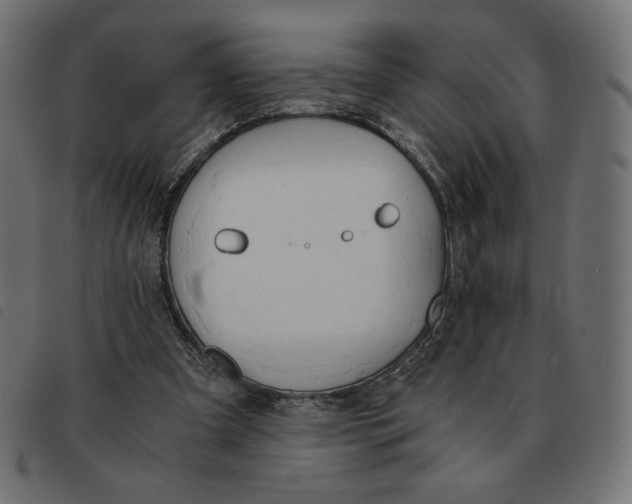 X0000092330297200710121539