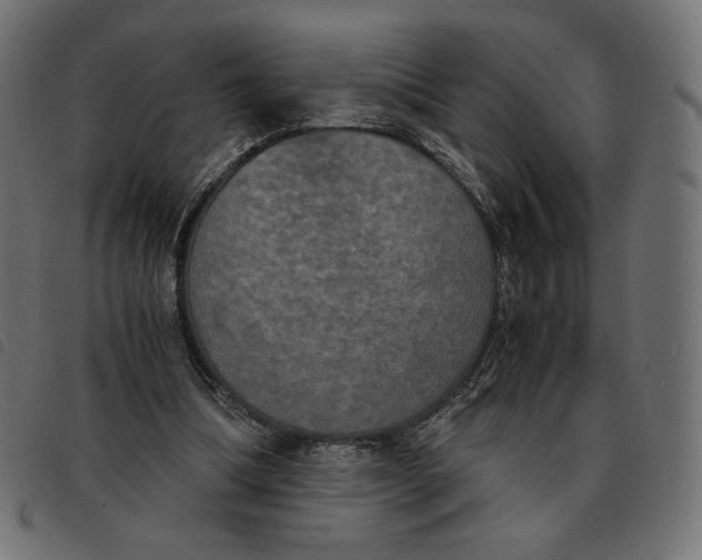 X0000092330298200710121539