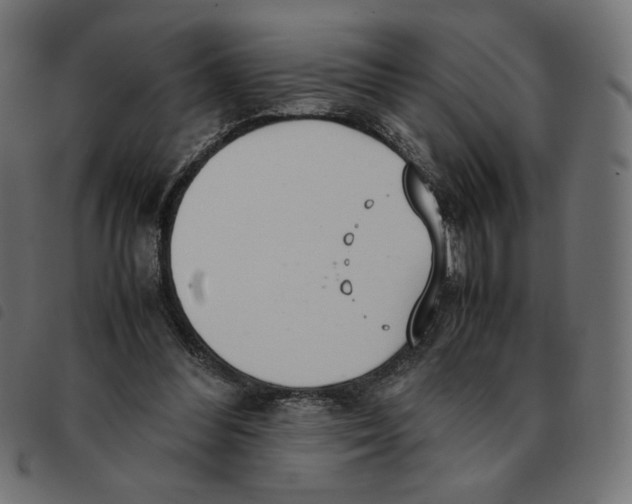 X0000092330300200710121539