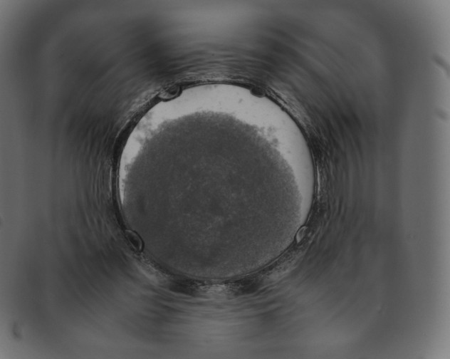 X0000092330301200710121539