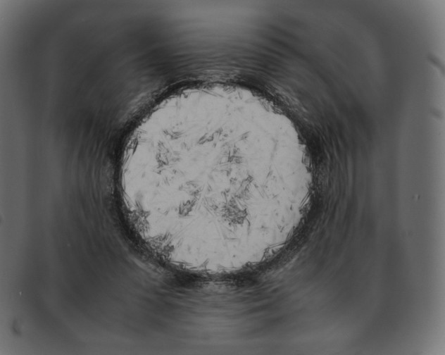 X0000092330303200710121539