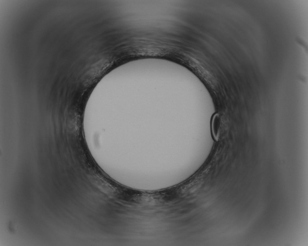 X0000092330305200710121539