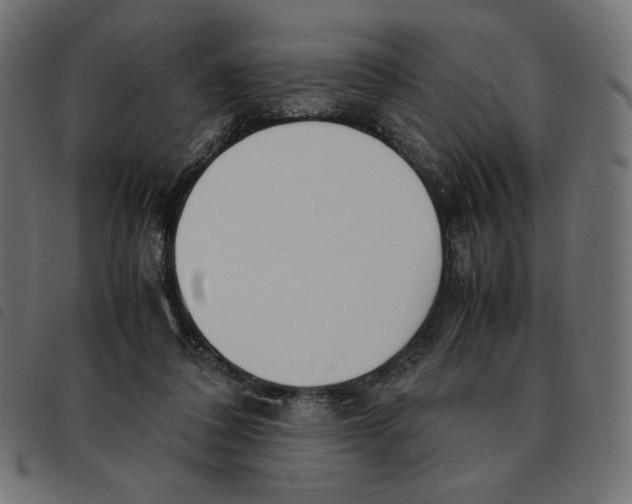 X0000092330308200710121539