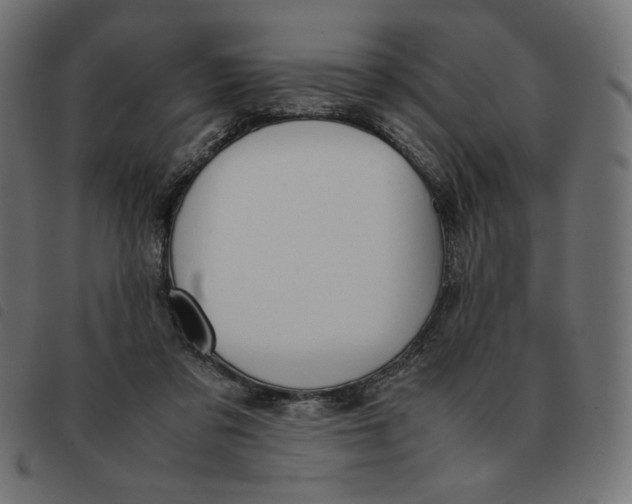 X0000092330309200710121539