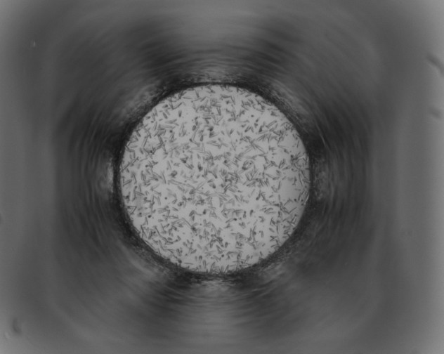 X0000092330310200710121539