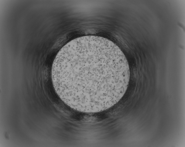 X0000092330311200710121539