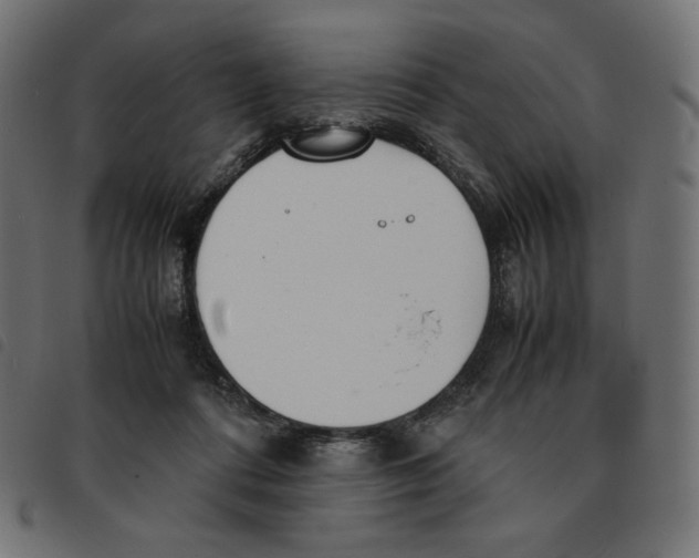 X0000092330312200710121539