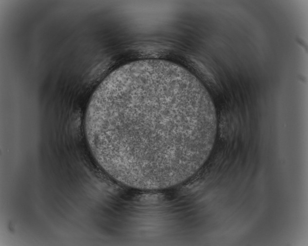 X0000092330314200710121539