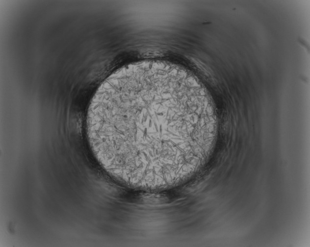 X0000092330315200710121539