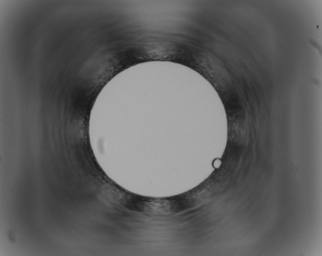 X0000092330317200710121539