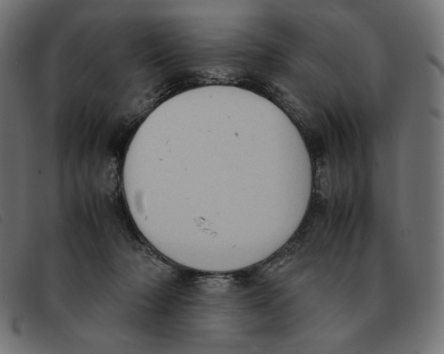 X0000092330318200710121539