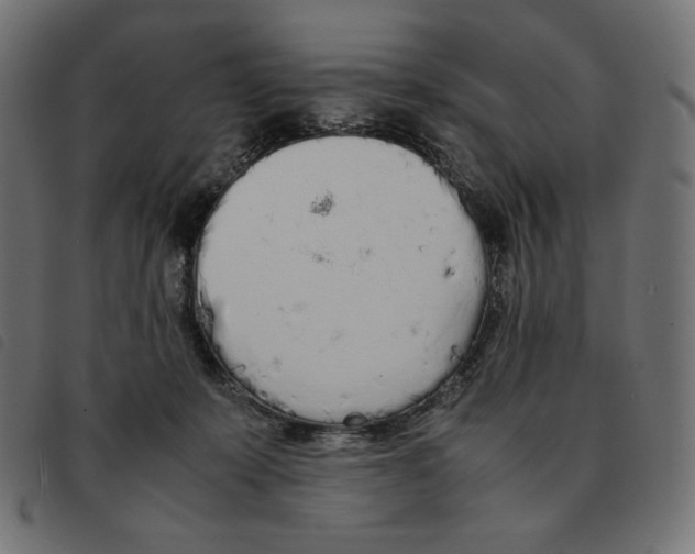 X0000092330319200710121539