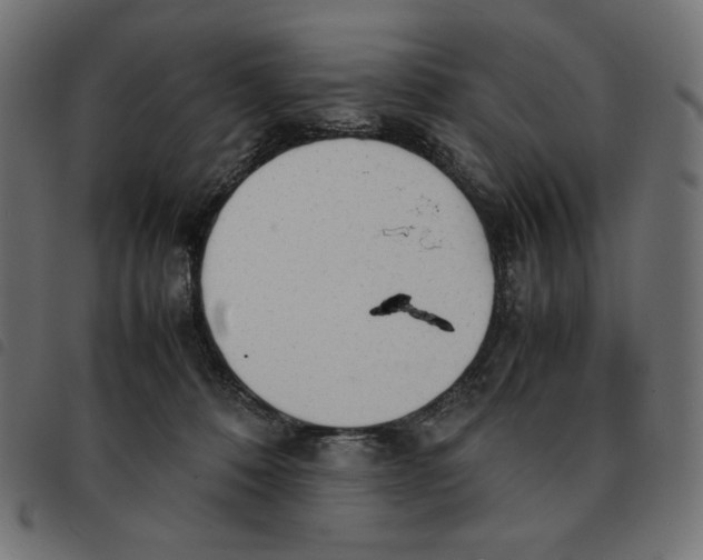 X0000092330320200710121539