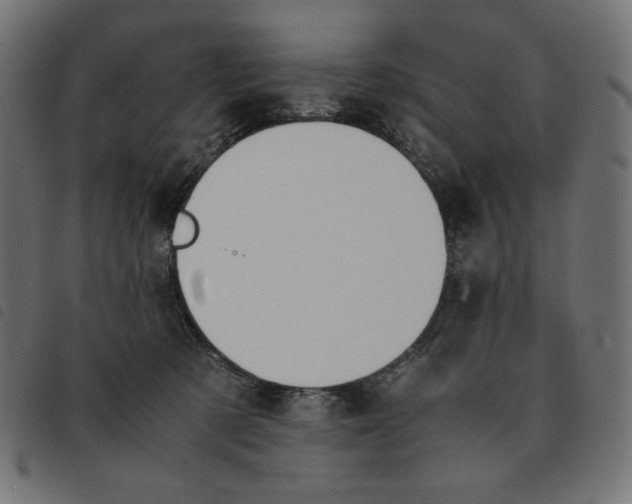 X0000092330321200710121539