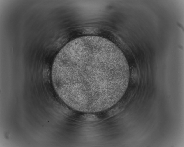 X0000092330322200710121539