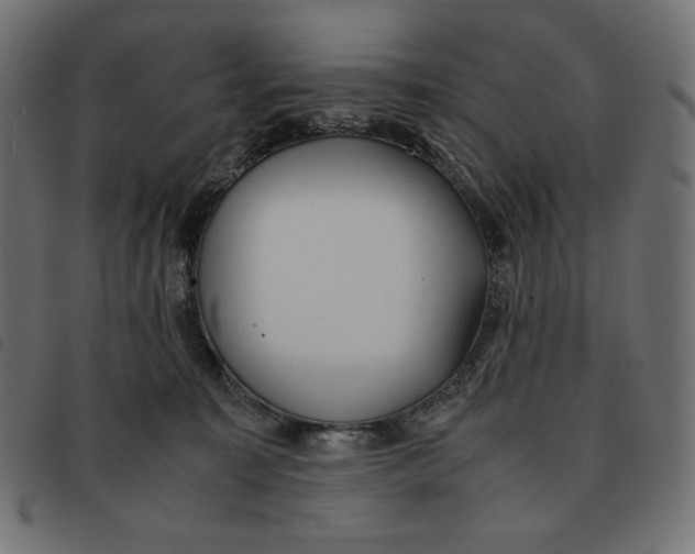 X0000092330323200710121539