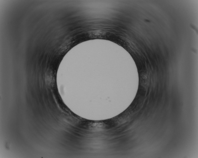 X0000092330324200710121539