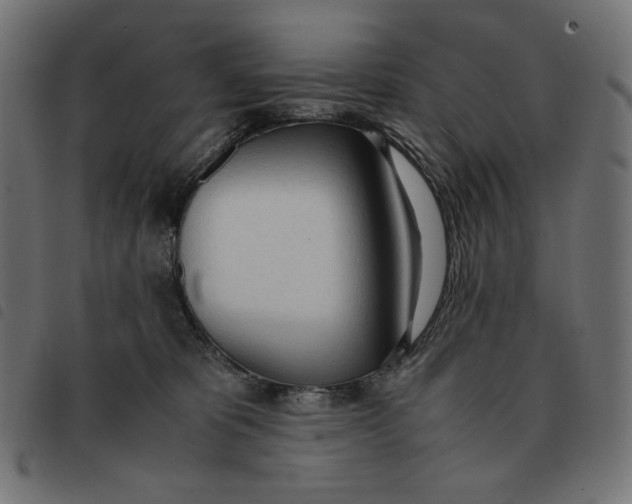 X0000092330325200710121539