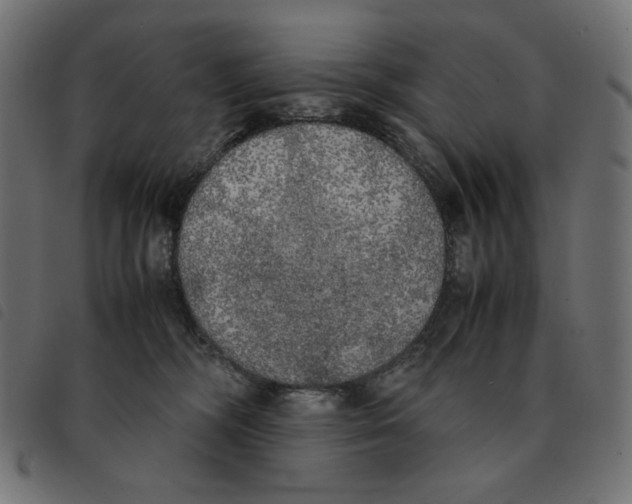 X0000092330326200710121539