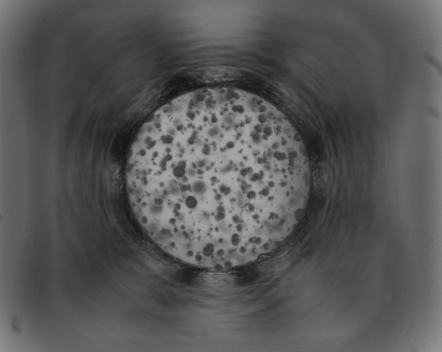 X0000092330327200710121539
