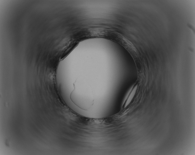 X0000092330329200710121539