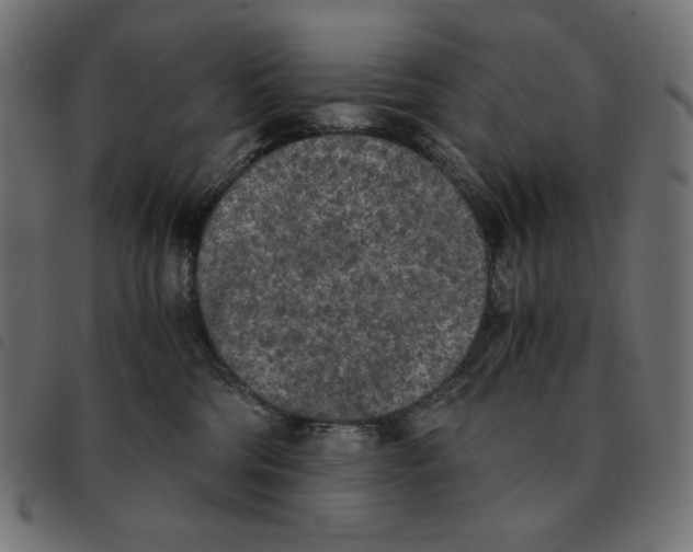 X0000092330330200710121539