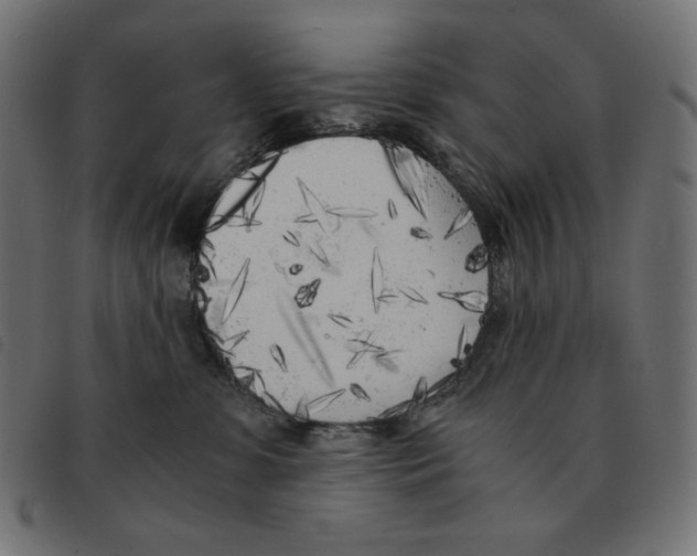 X0000092330331200710121539