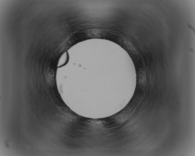 X0000092330332200710121539