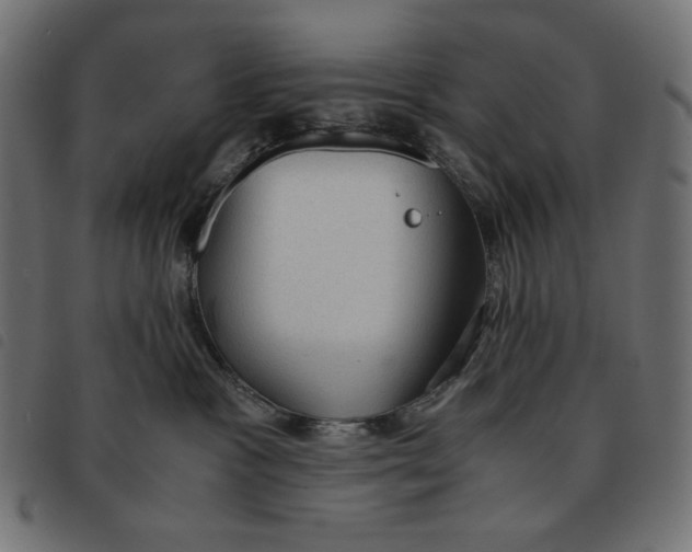 X0000092330333200710121539