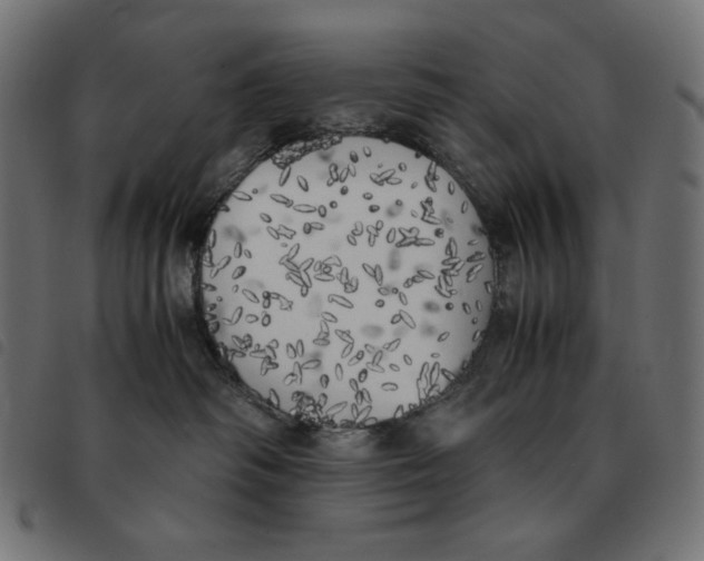 X0000092330334200710121539