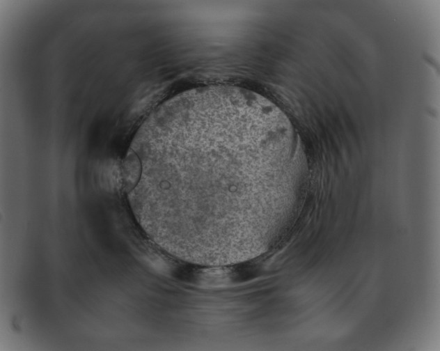 X0000092330335200710121539