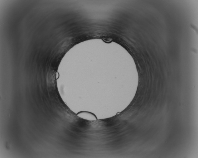 X0000092330336200710121539