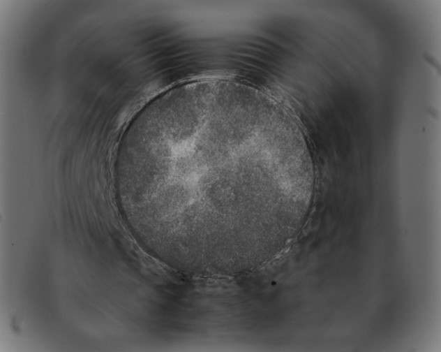 X0000092330337200710121538