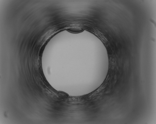 X0000092330338200710121538