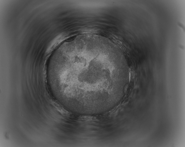 X0000092330339200710121538