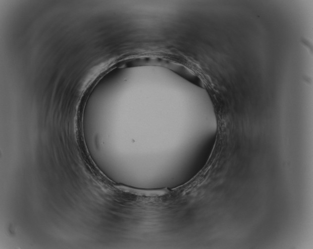 X0000092330340200710121538