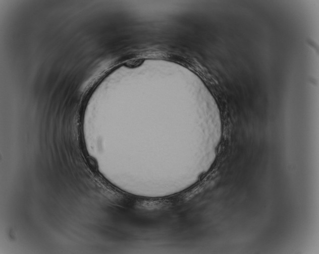 X0000092330341200710121538