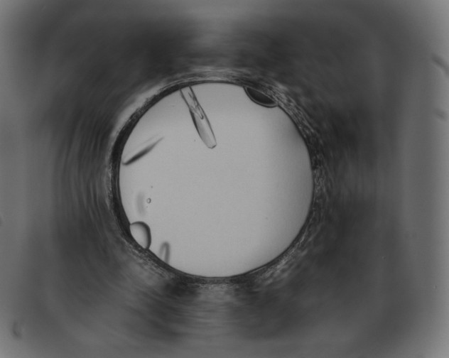 X0000092330342200710121538