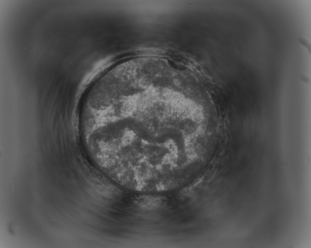 X0000092330343200710121538