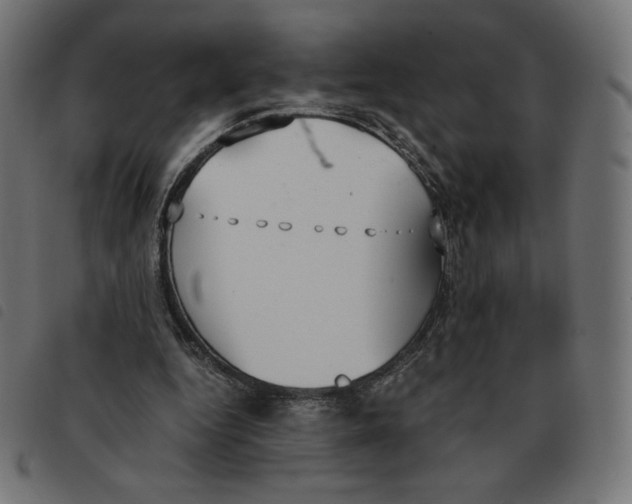 X0000092330344200710121538