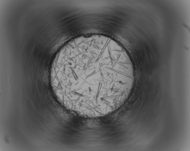 X0000092330345200710121538