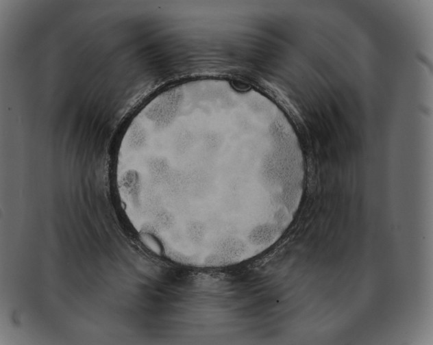 X0000092330346200710121538