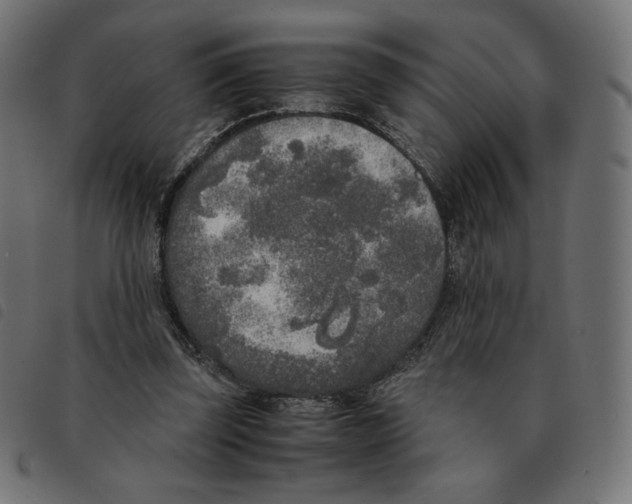 X0000092330347200710121538