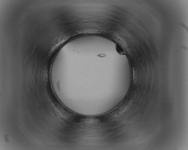 X0000092330348200710121538