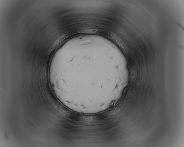 X0000092330349200710121538